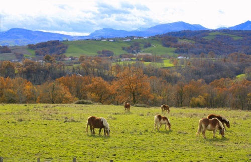 slide-campagne-1