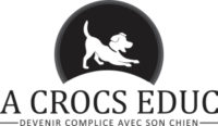 A crocs educ