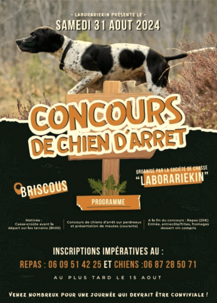 Concours de chien d’arrêt