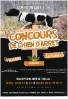 Concours de chien d&rsquo;arrêt